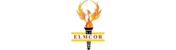 Elmcor Youth and Adult Activities Inc logo