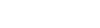 CommQuest logo