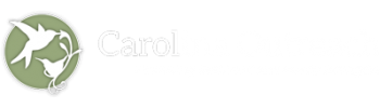 Carolina Outreach LLC logo