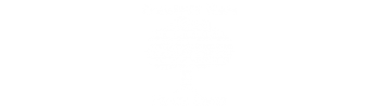 Community Nurse Health logo