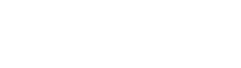 Palm Beach Institute logo
