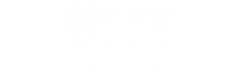Stonewall Institute logo