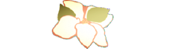 Magnolia Womens Recovery Program Inc logo