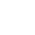 Bridging the Gaps Inc logo