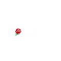 Clinica Tepeyac - Clinic logo