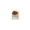 Anasazi Foundation logo