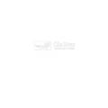 Gila River Healthcare logo