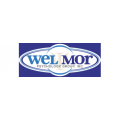 Wel Mor Psychological Group Inc logo