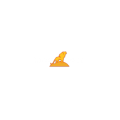 Lionrock Recovery logo